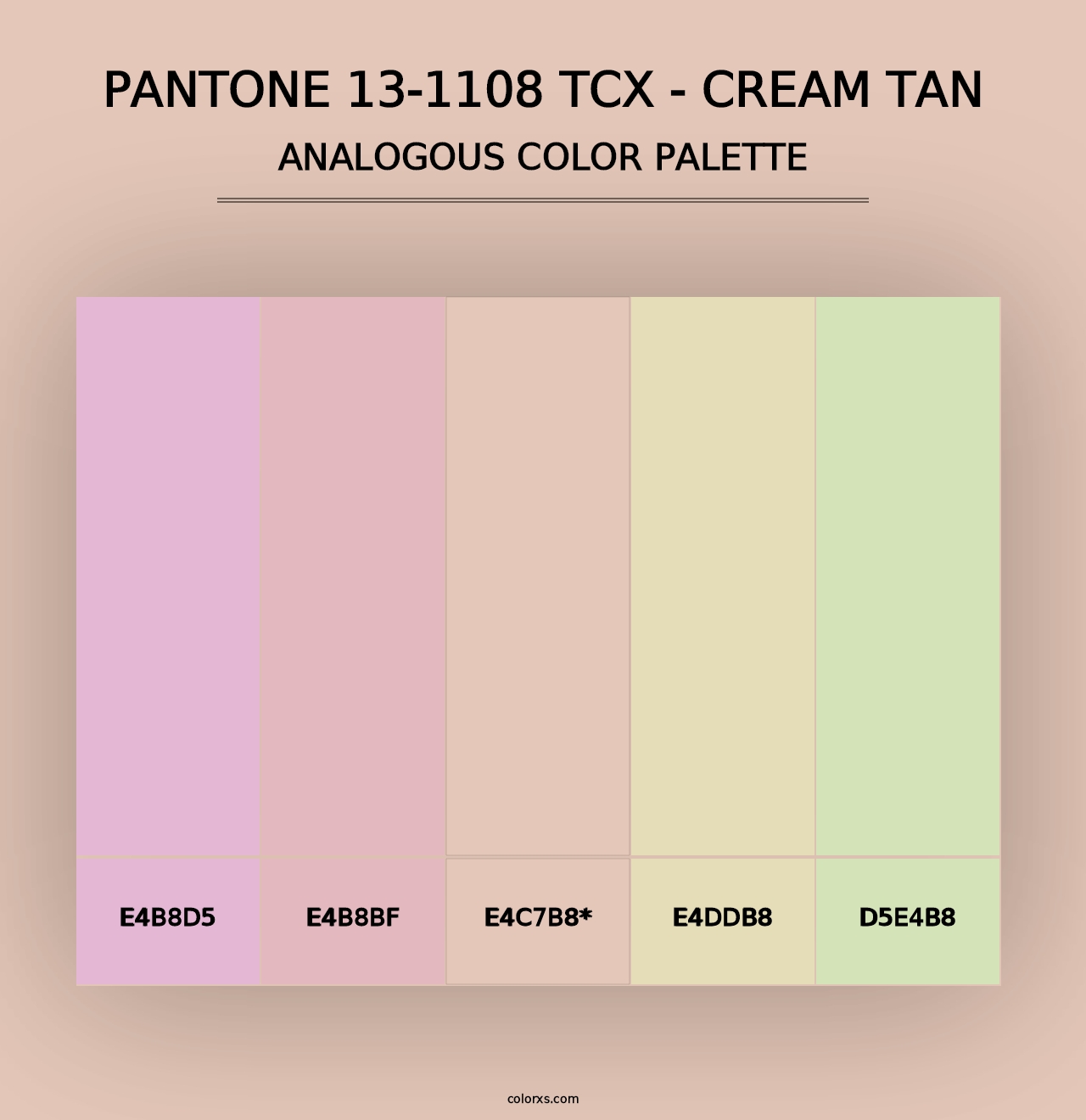 PANTONE 13-1108 TCX - Cream Tan - Analogous Color Palette