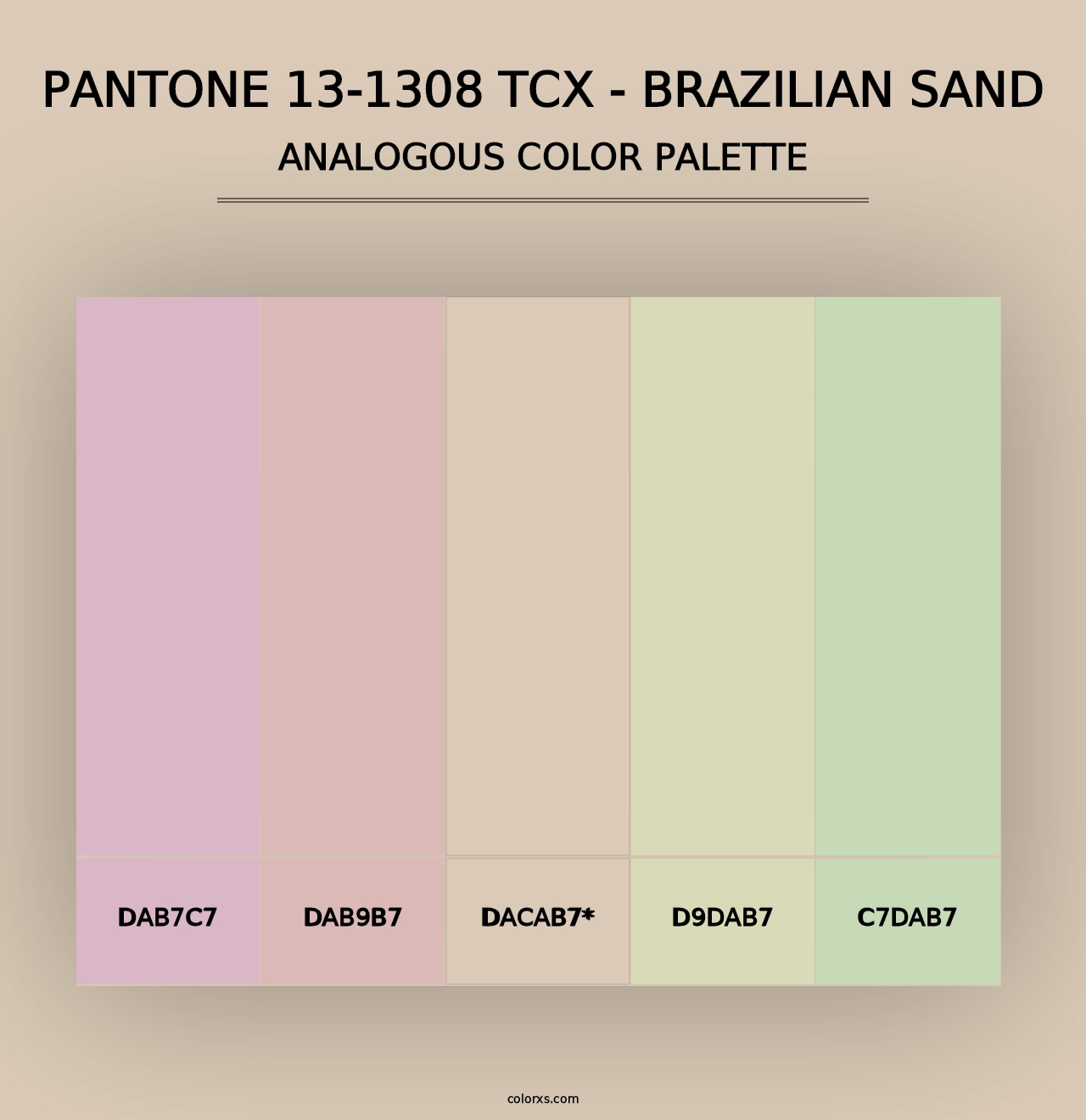 PANTONE 13-1308 TCX - Brazilian Sand - Analogous Color Palette