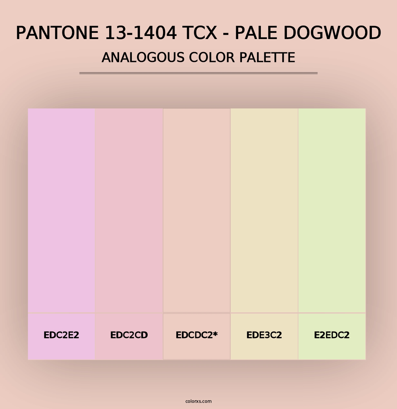 PANTONE 13-1404 TCX - Pale Dogwood - Analogous Color Palette