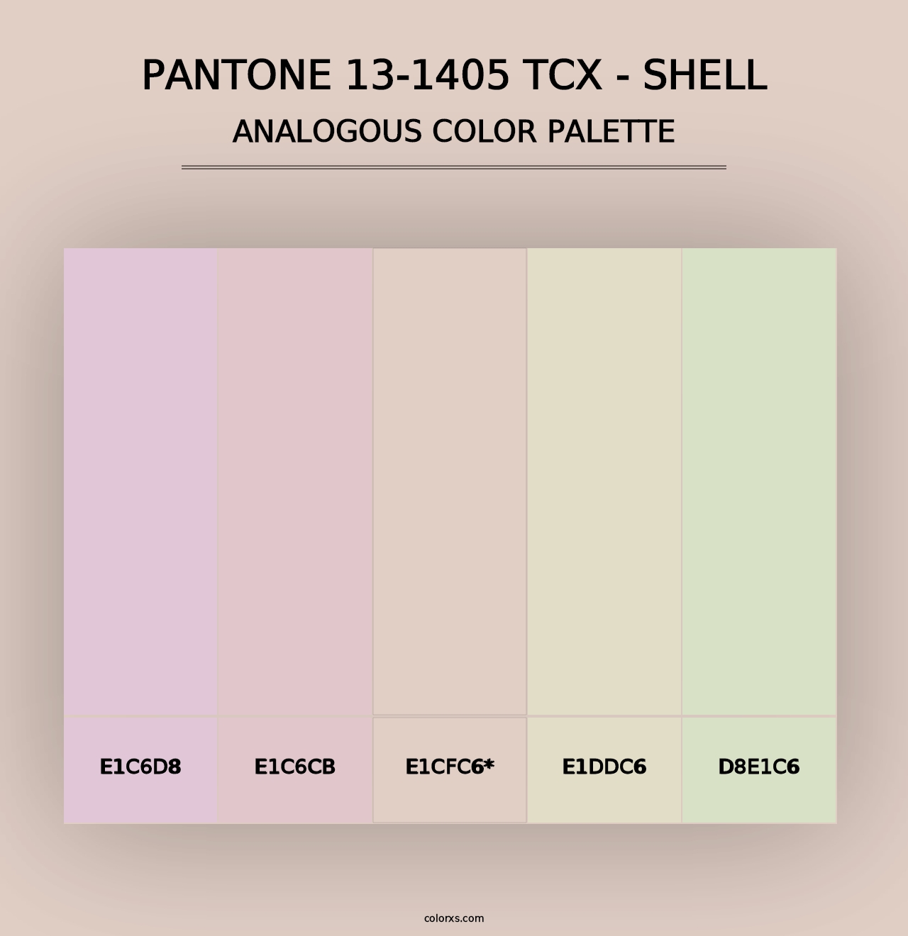 PANTONE 13-1405 TCX - Shell - Analogous Color Palette