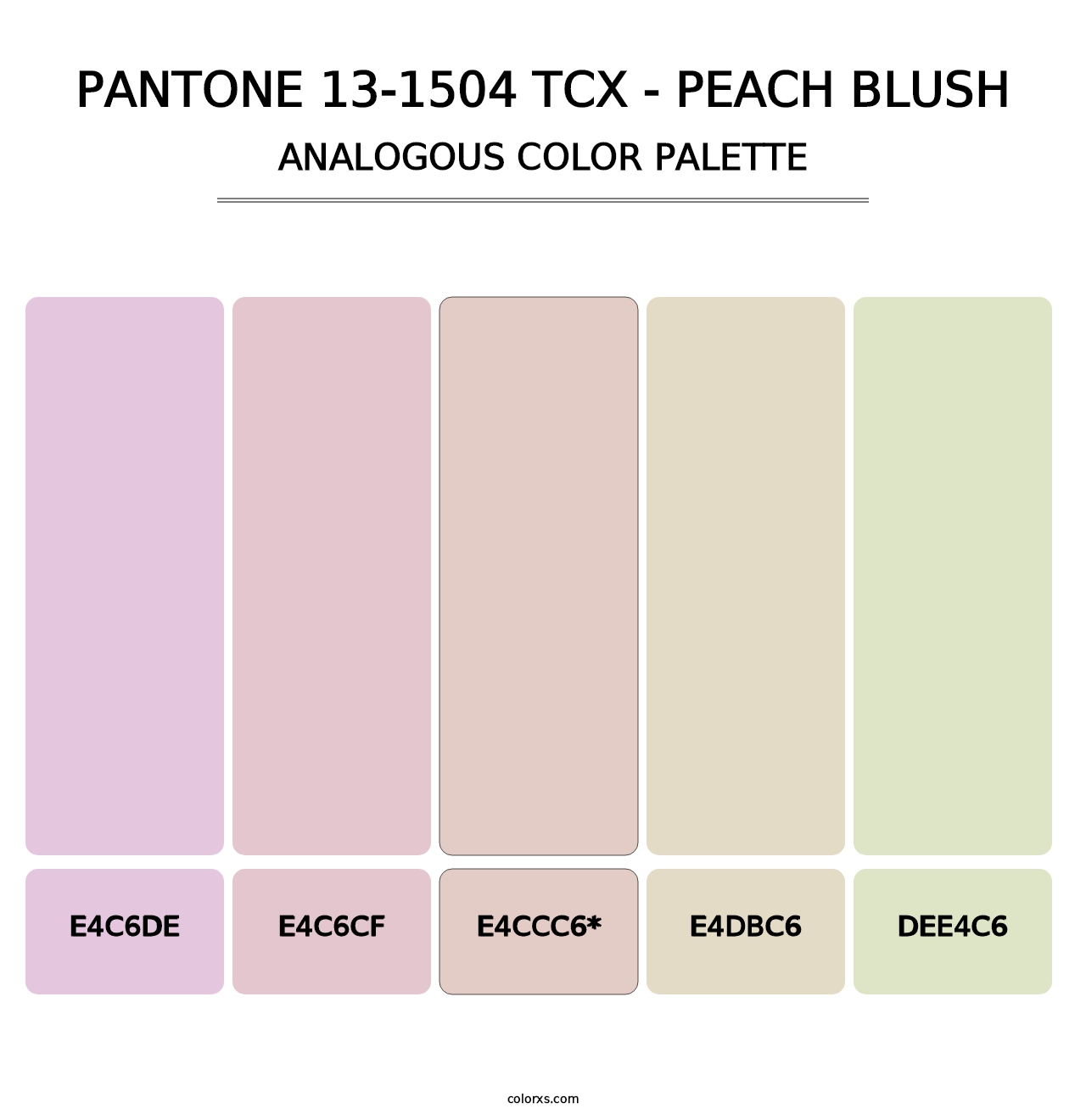 PANTONE 13-1504 TCX - Peach Blush - Analogous Color Palette