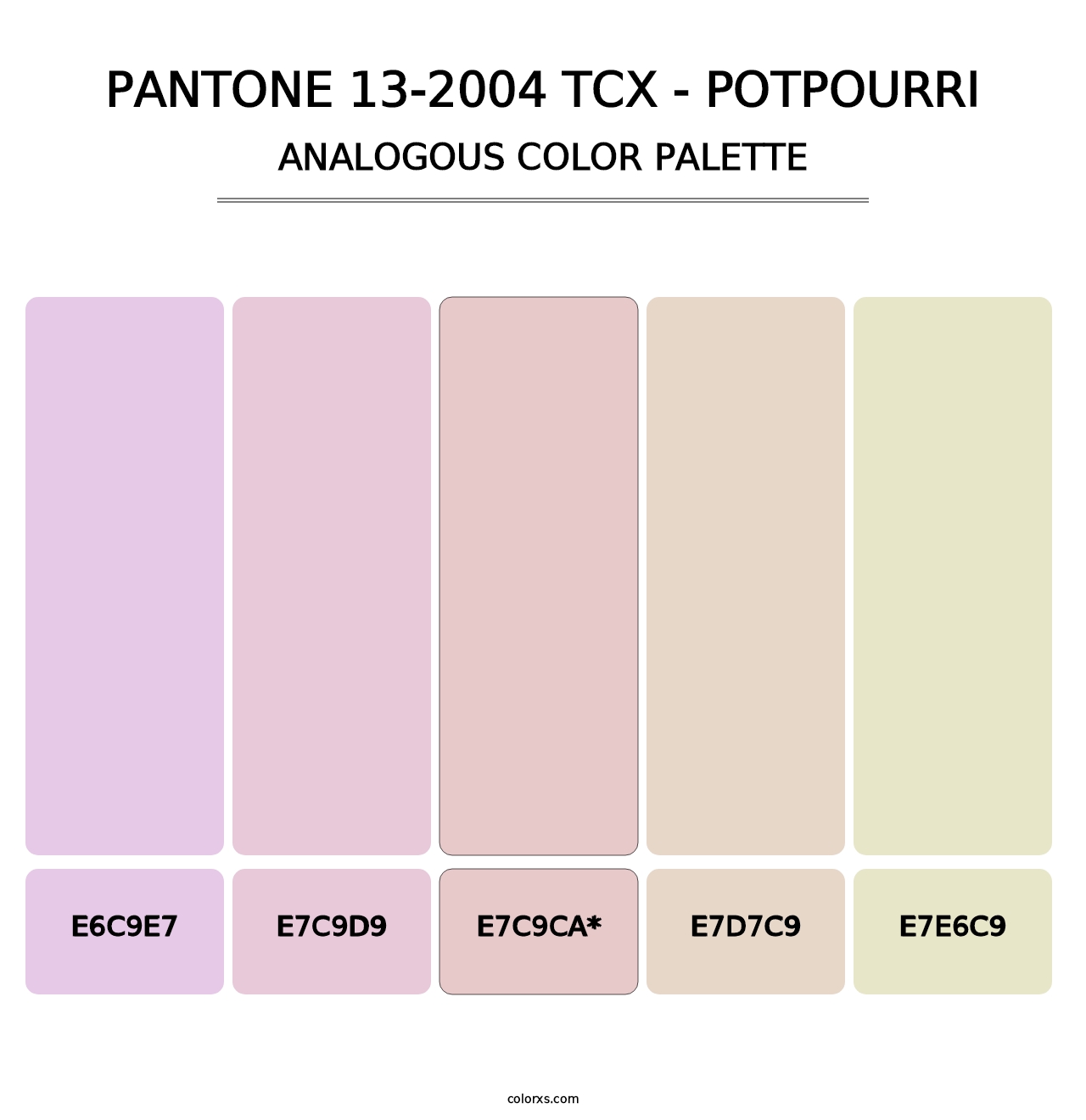 PANTONE 13-2004 TCX - Potpourri - Analogous Color Palette