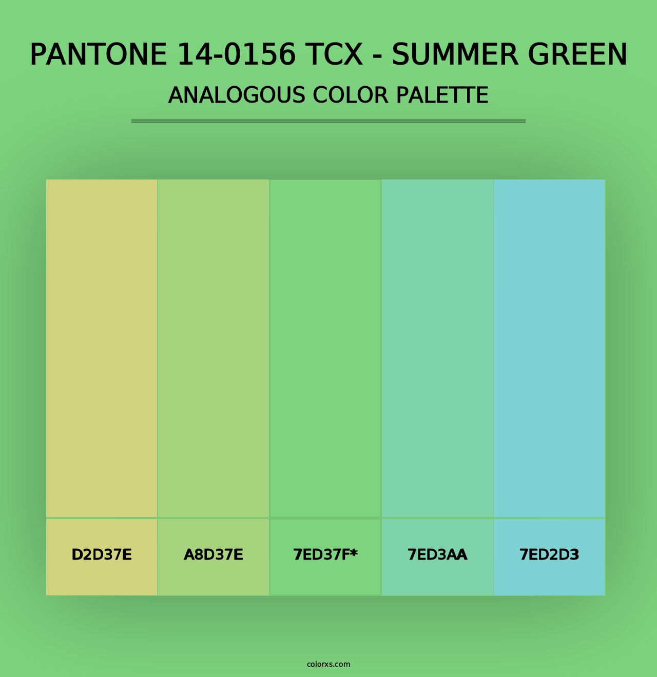 PANTONE 14-0156 TCX - Summer Green - Analogous Color Palette