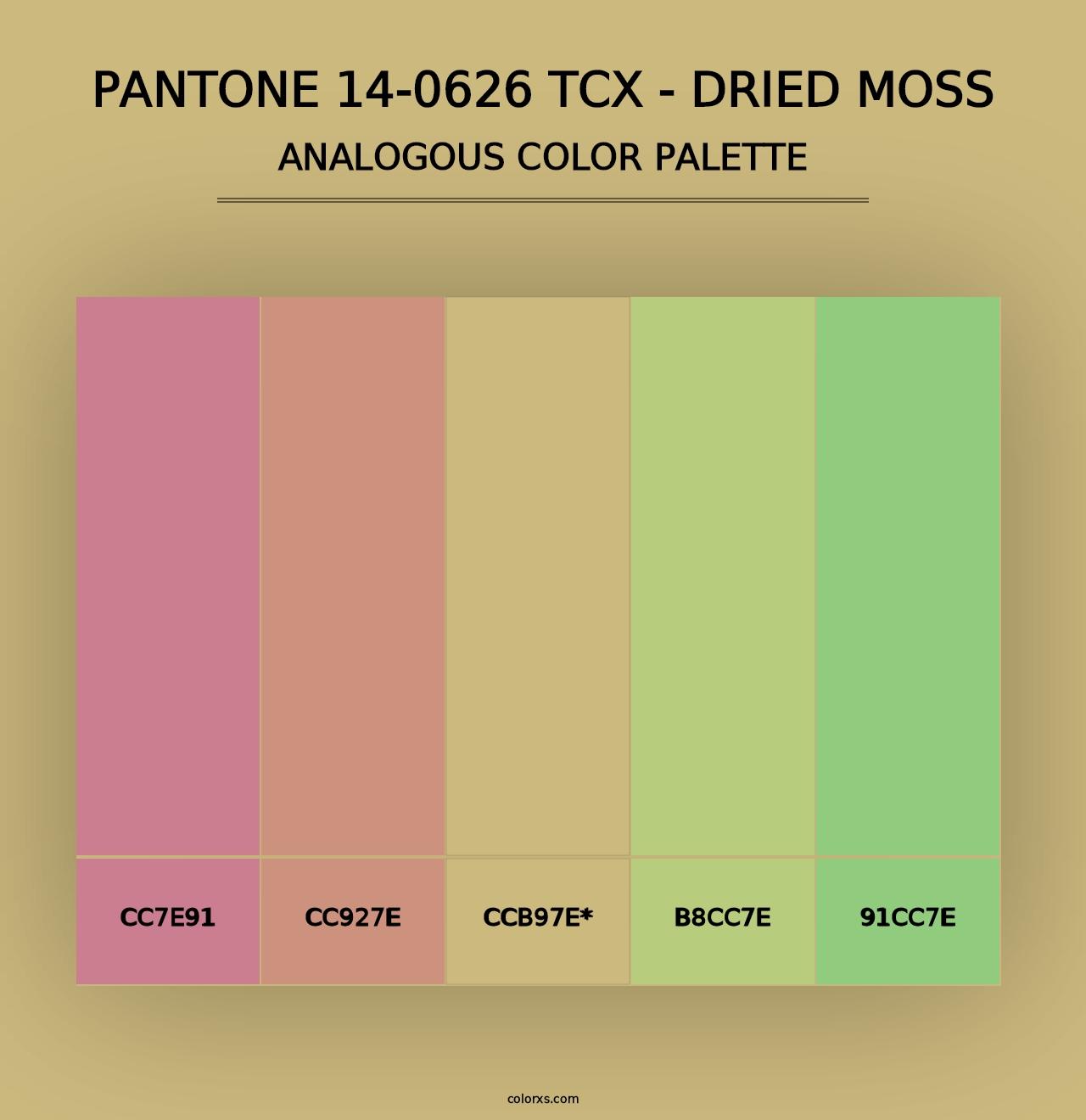 PANTONE 14-0626 TCX - Dried Moss - Analogous Color Palette