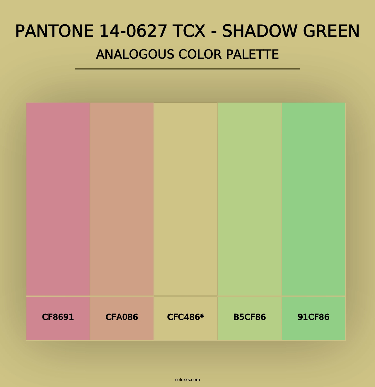 PANTONE 14-0627 TCX - Shadow Green - Analogous Color Palette