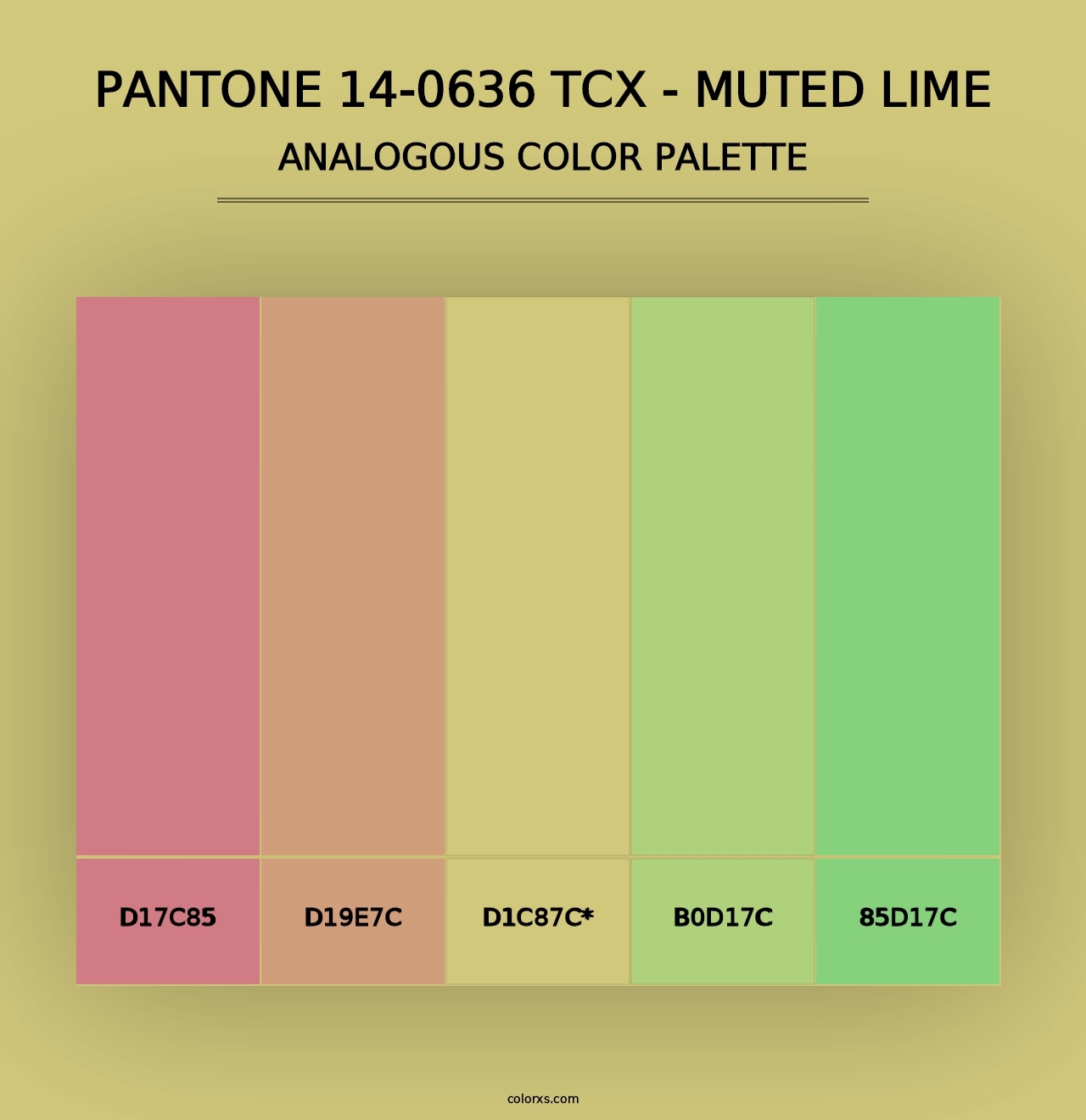 PANTONE 14-0636 TCX - Muted Lime - Analogous Color Palette