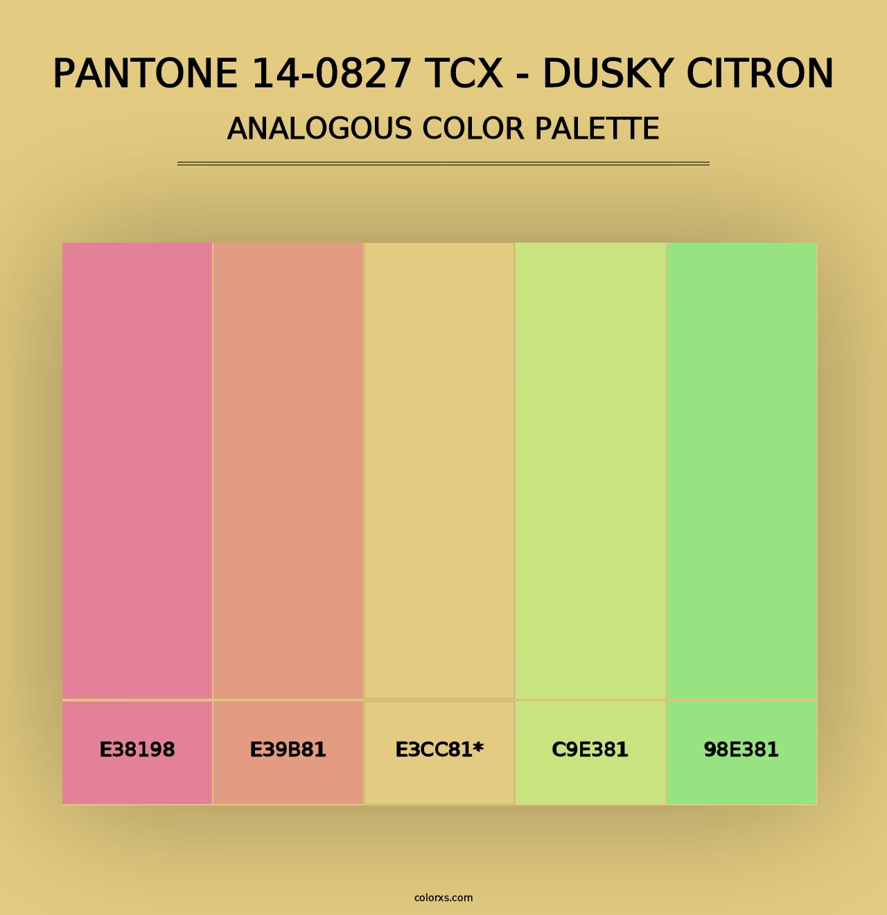 PANTONE 14-0827 TCX - Dusky Citron - Analogous Color Palette