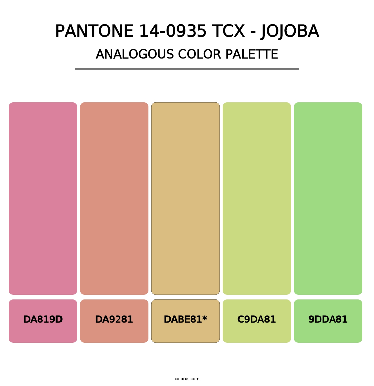 PANTONE 14-0935 TCX - Jojoba - Analogous Color Palette