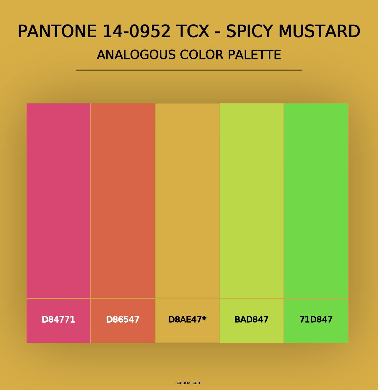 PANTONE 14-0952 TCX - Spicy Mustard - Analogous Color Palette