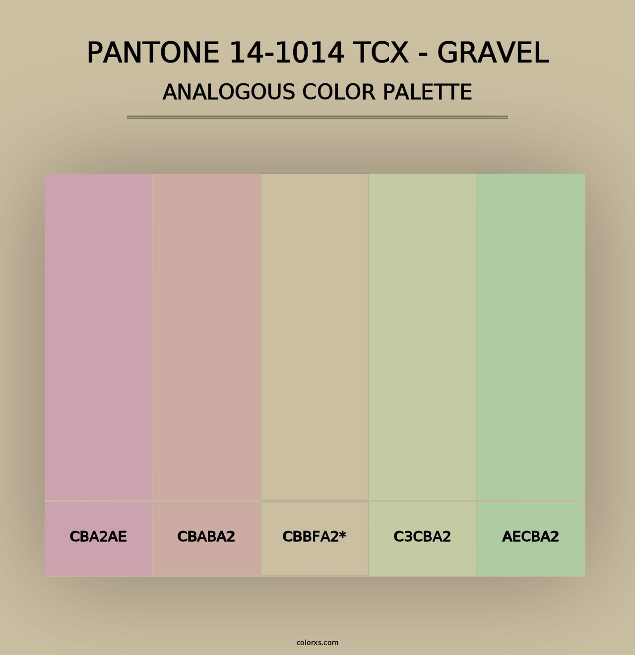 PANTONE 14-1014 TCX - Gravel - Analogous Color Palette