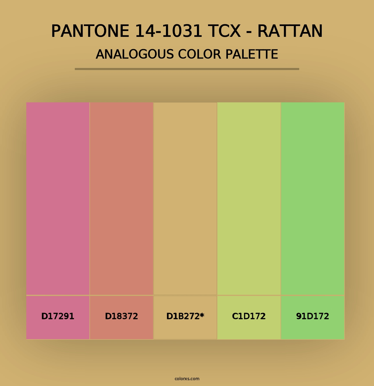 PANTONE 14-1031 TCX - Rattan - Analogous Color Palette