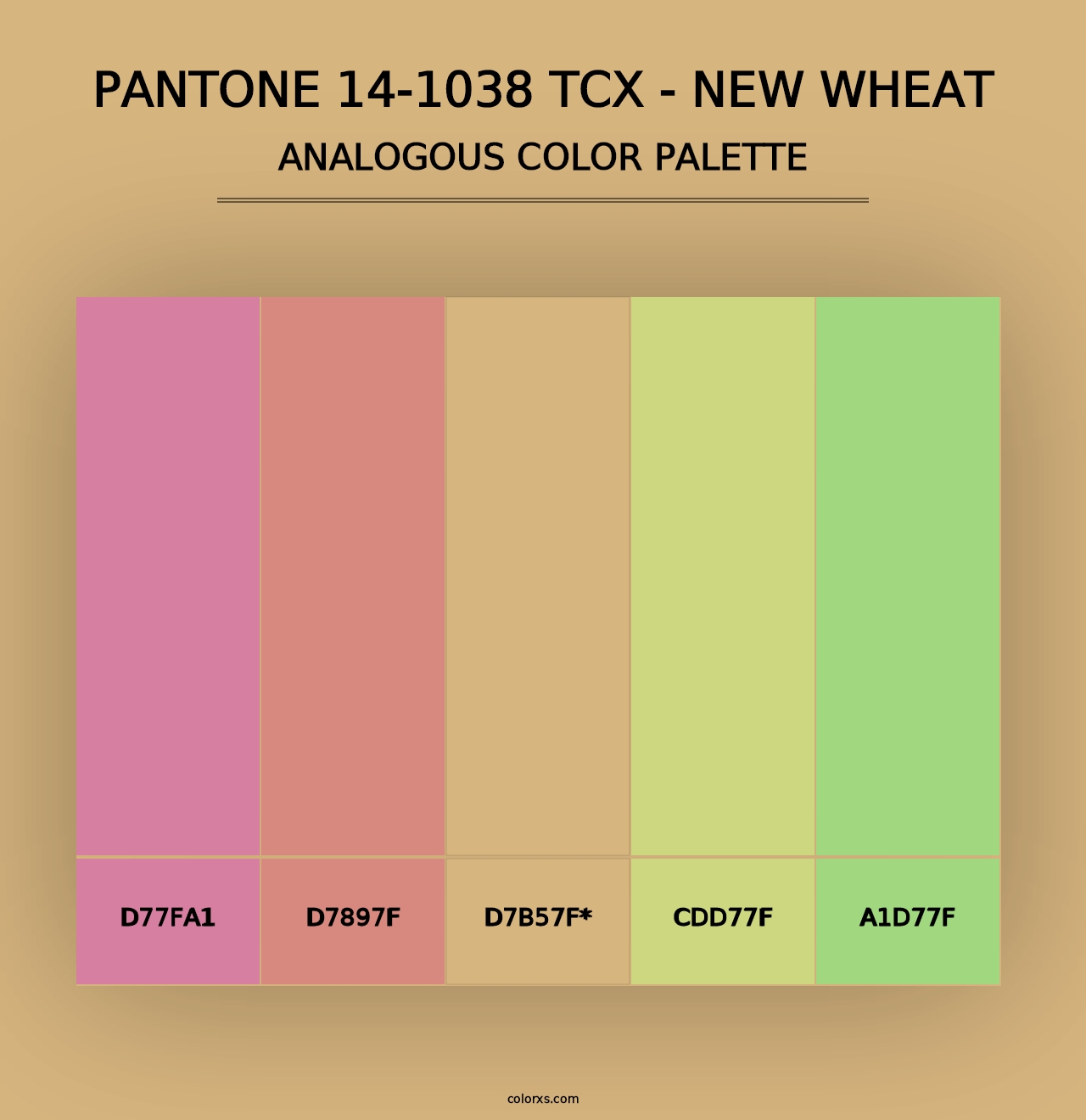 PANTONE 14-1038 TCX - New Wheat - Analogous Color Palette