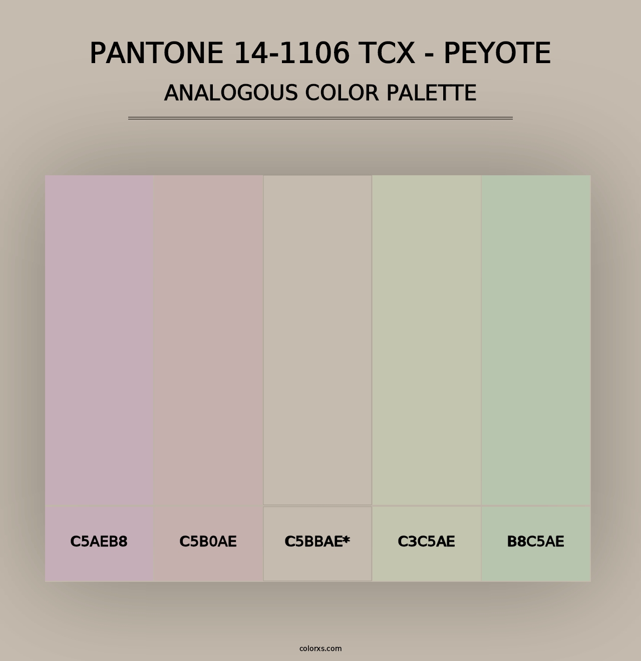 PANTONE 14-1106 TCX - Peyote - Analogous Color Palette