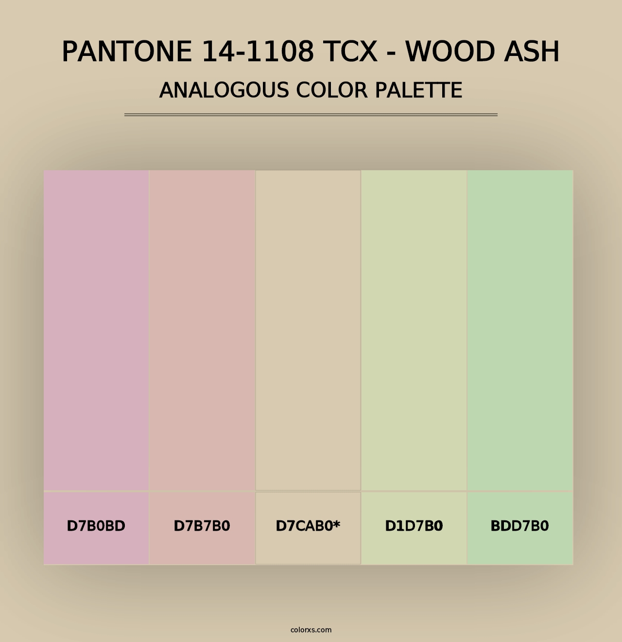 PANTONE 14-1108 TCX - Wood Ash - Analogous Color Palette