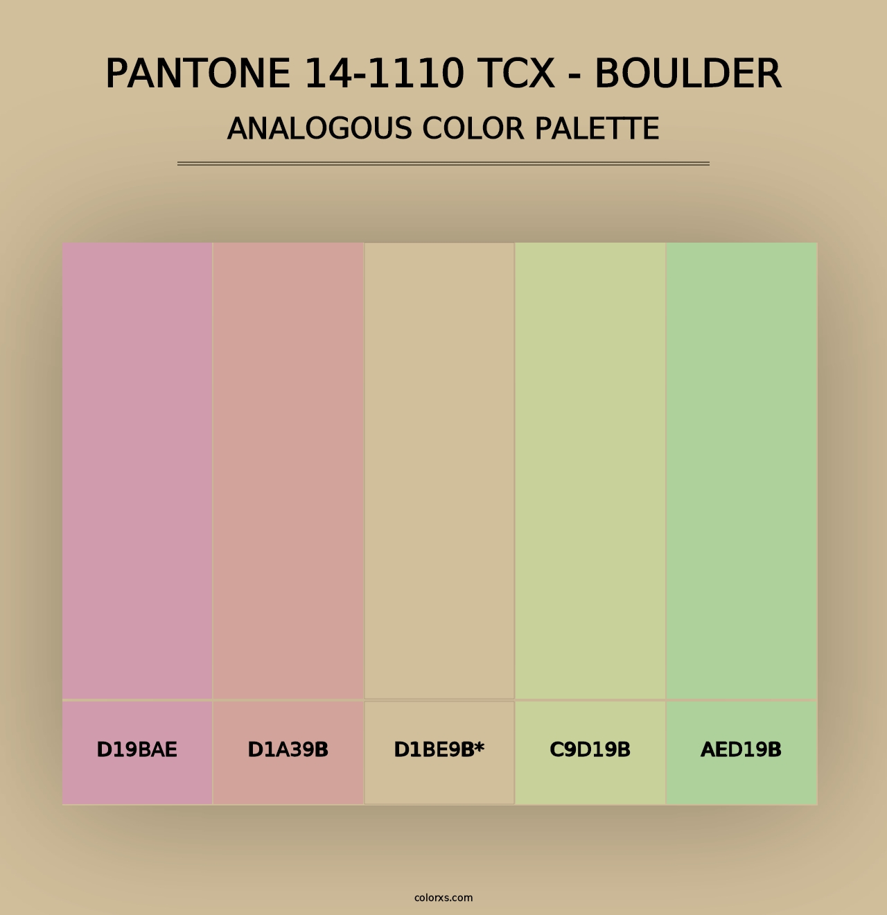 PANTONE 14-1110 TCX - Boulder - Analogous Color Palette