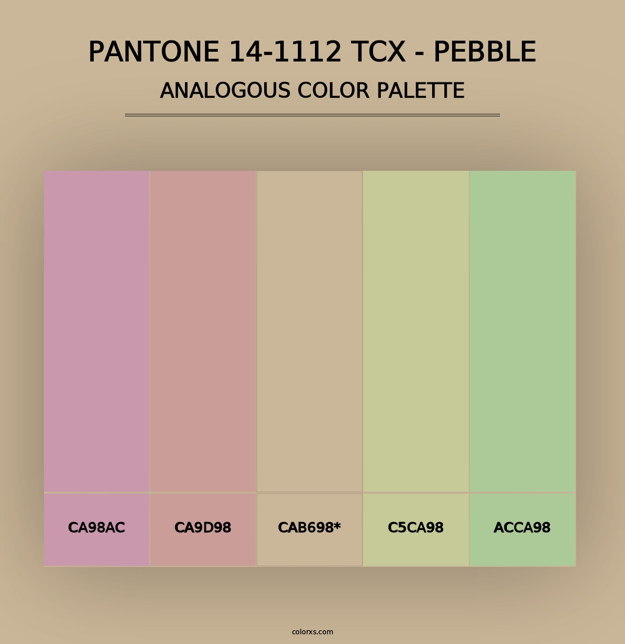 PANTONE 14-1112 TCX - Pebble - Analogous Color Palette