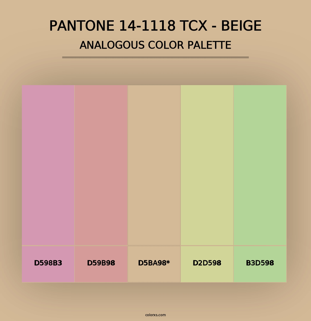 PANTONE 14-1118 TCX - Beige - Analogous Color Palette