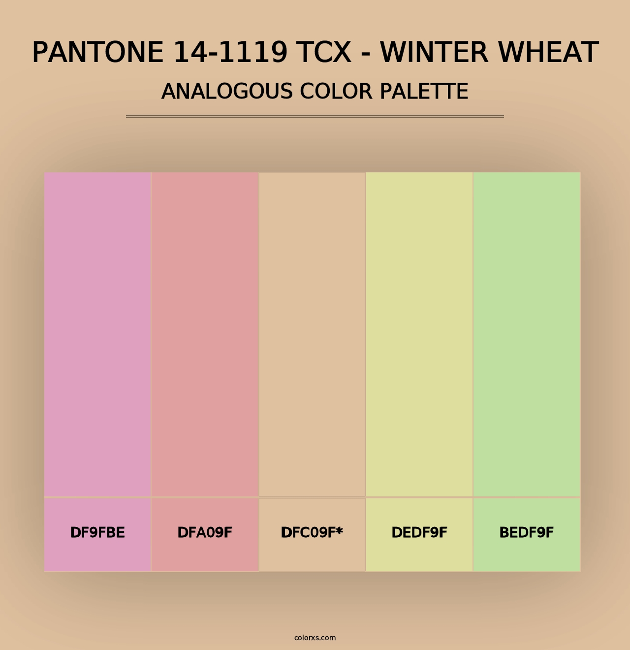 PANTONE 14-1119 TCX - Winter Wheat - Analogous Color Palette