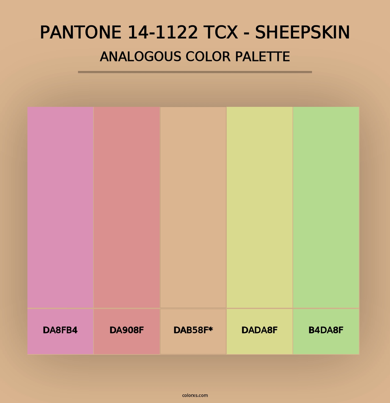 PANTONE 14-1122 TCX - Sheepskin - Analogous Color Palette