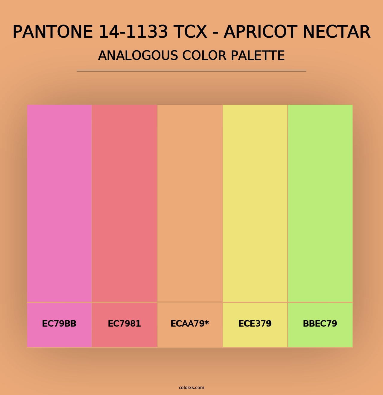 PANTONE 14-1133 TCX - Apricot Nectar - Analogous Color Palette