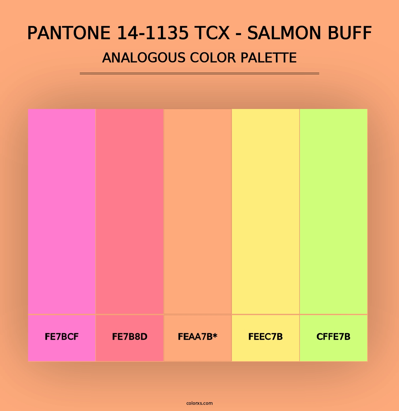 PANTONE 14-1135 TCX - Salmon Buff - Analogous Color Palette