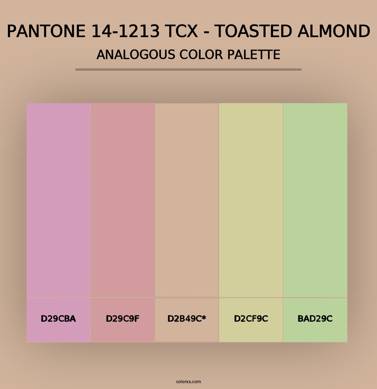 PANTONE 14-1213 TCX - Toasted Almond - Analogous Color Palette