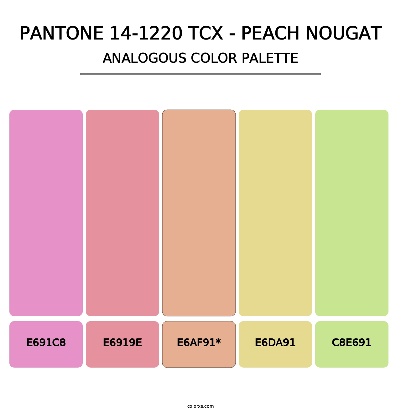 PANTONE 14-1220 TCX - Peach Nougat - Analogous Color Palette