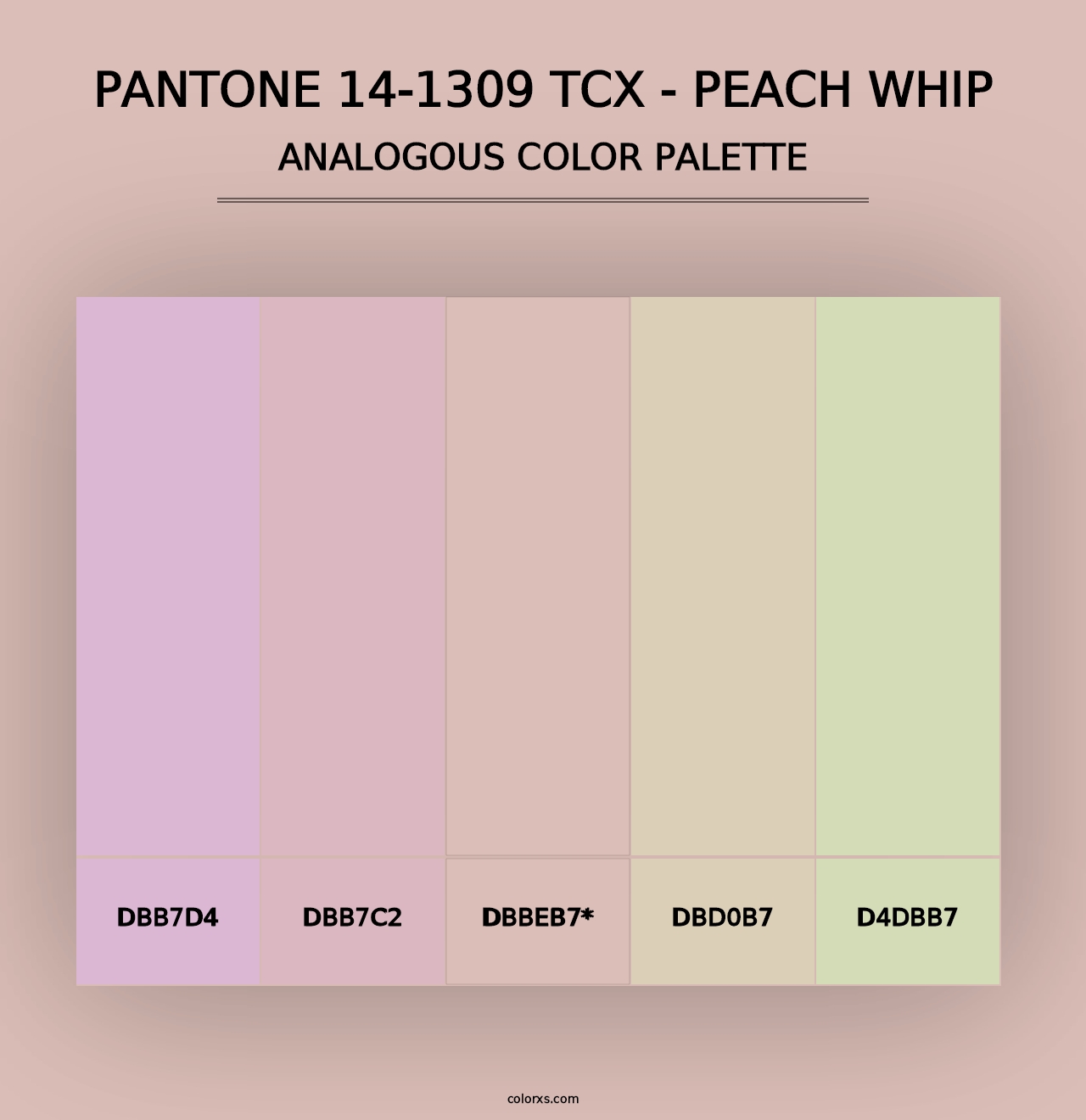 PANTONE 14-1309 TCX - Peach Whip - Analogous Color Palette