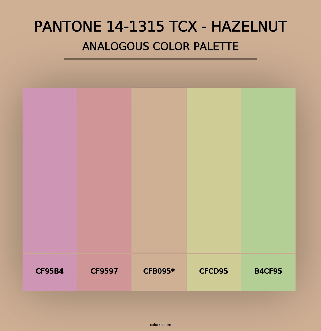 PANTONE 14-1315 TCX - Hazelnut - Analogous Color Palette