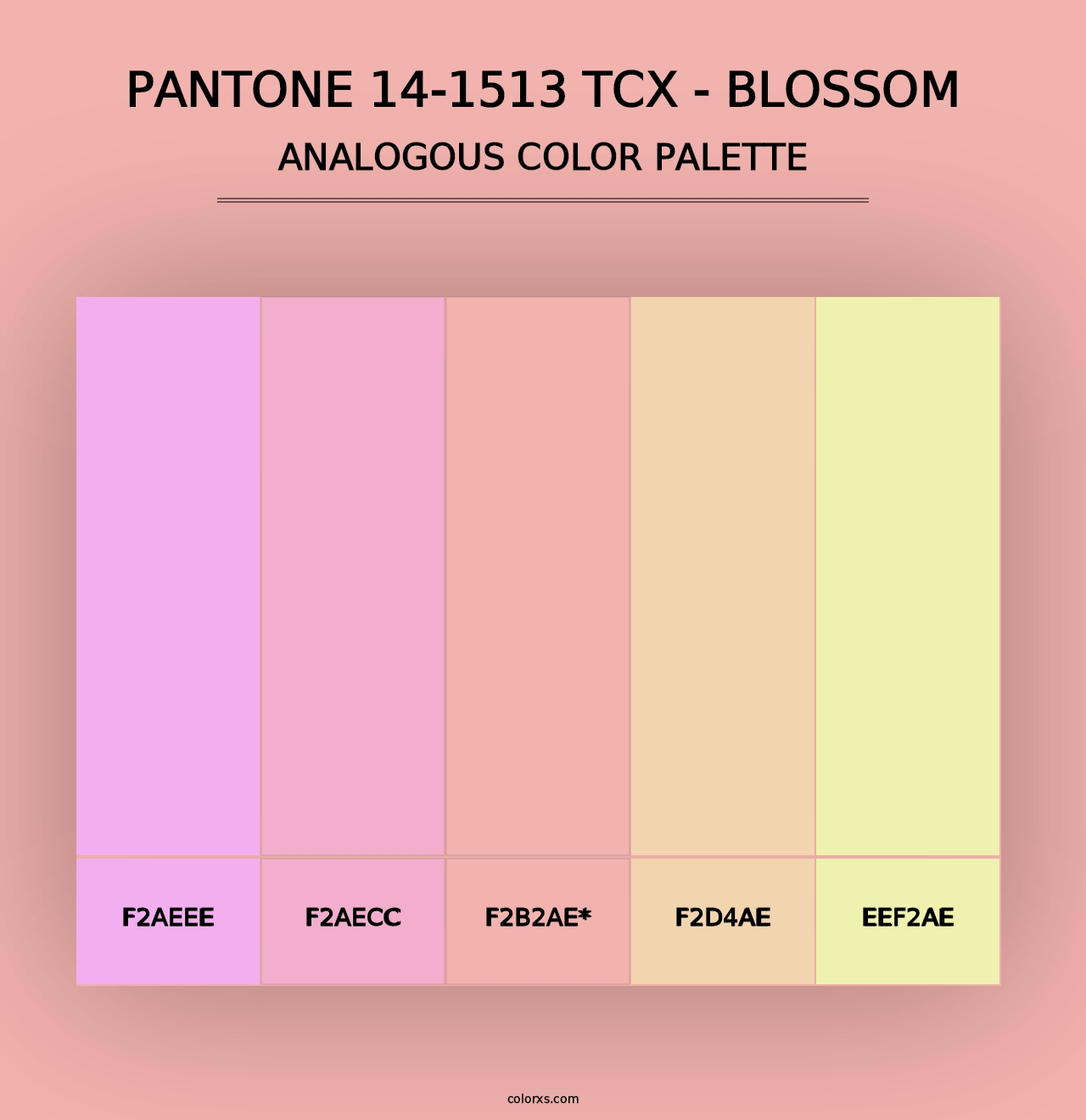 PANTONE 14-1513 TCX - Blossom - Analogous Color Palette