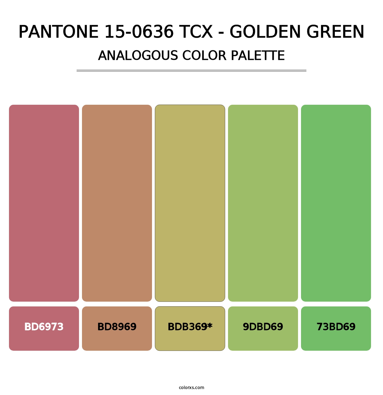 PANTONE 15-0636 TCX - Golden Green - Analogous Color Palette