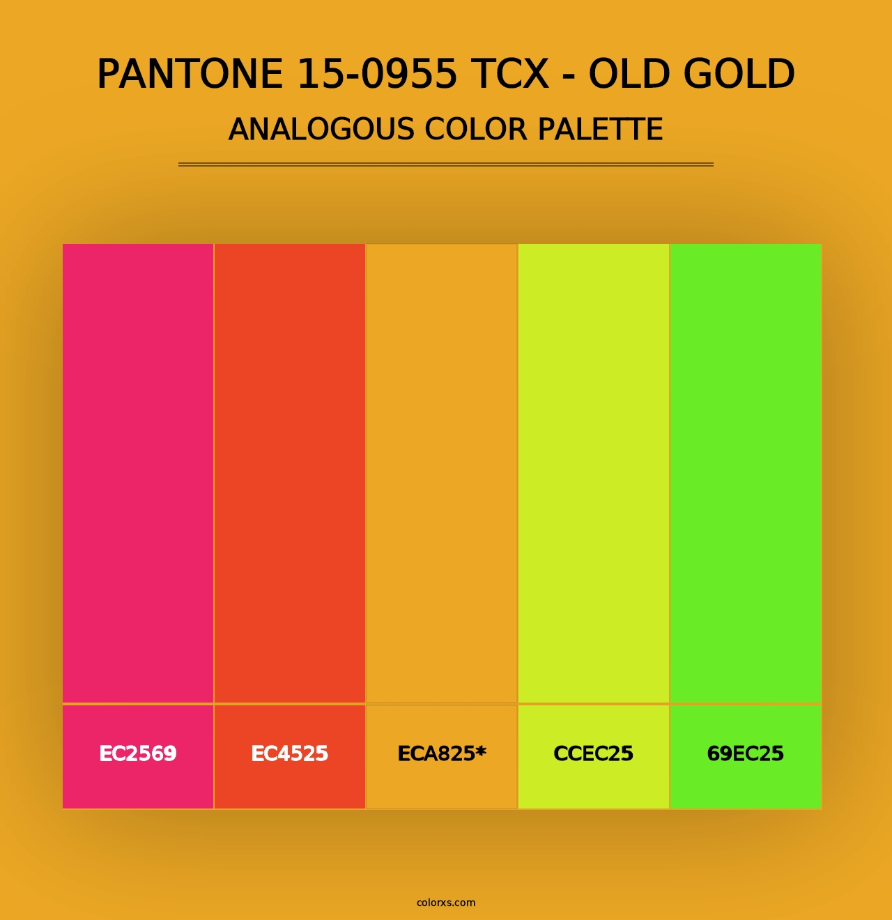 PANTONE 15-0955 TCX - Old Gold - Analogous Color Palette