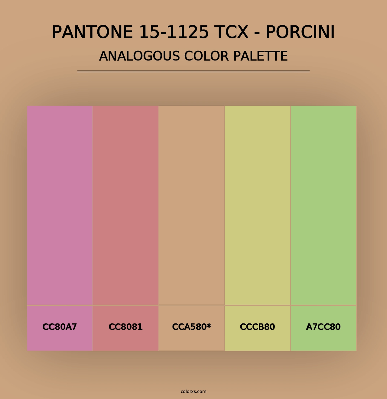 PANTONE 15-1125 TCX - Porcini - Analogous Color Palette