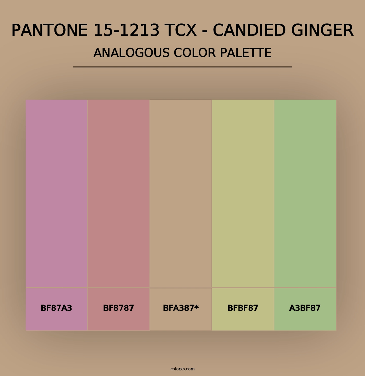 PANTONE 15-1213 TCX - Candied Ginger - Analogous Color Palette