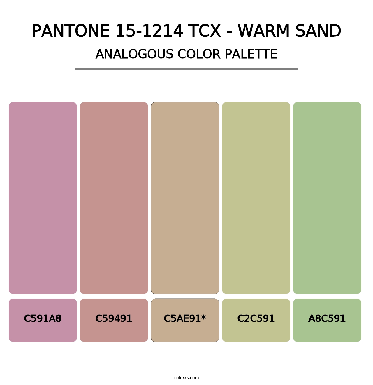 PANTONE 15-1214 TCX - Warm Sand - Analogous Color Palette