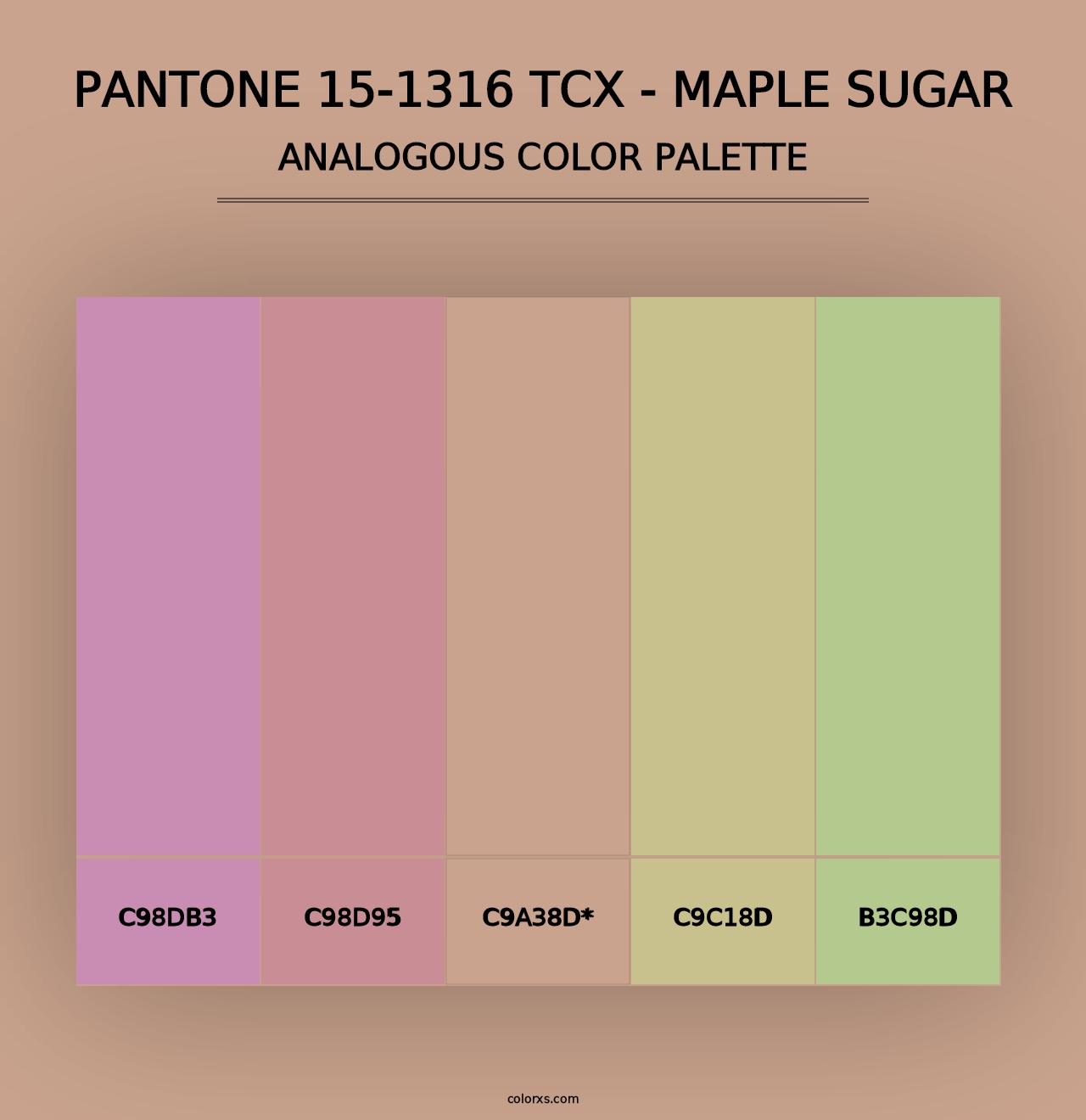 PANTONE 15-1316 TCX - Maple Sugar - Analogous Color Palette