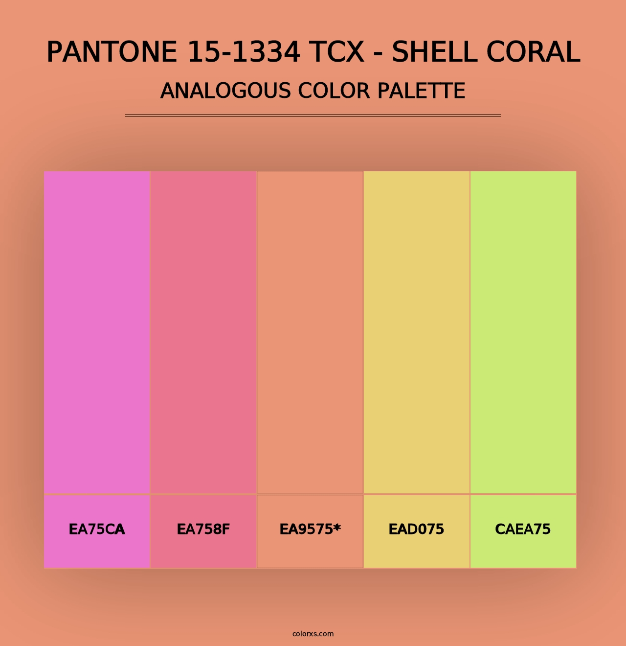 PANTONE 15-1334 TCX - Shell Coral - Analogous Color Palette