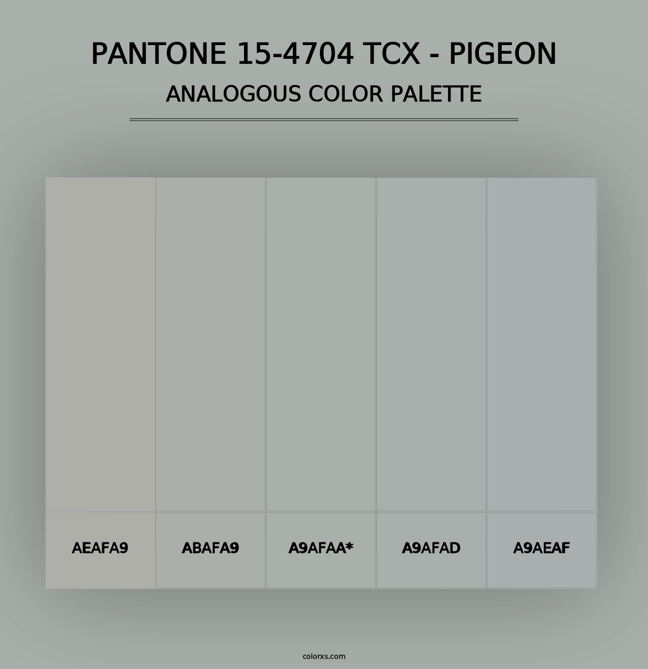 PANTONE 15-4704 TCX - Pigeon - Analogous Color Palette