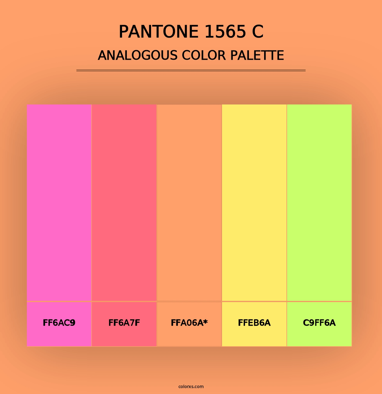 PANTONE 1565 C - Analogous Color Palette