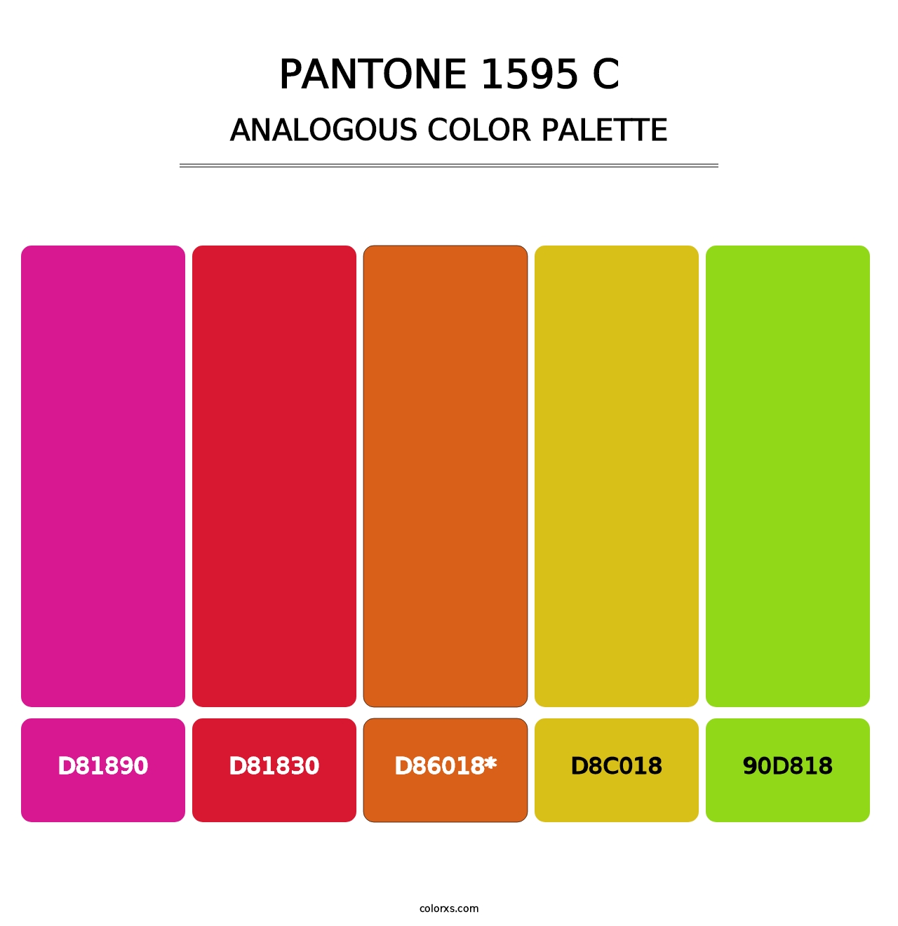 PANTONE 1595 C - Analogous Color Palette