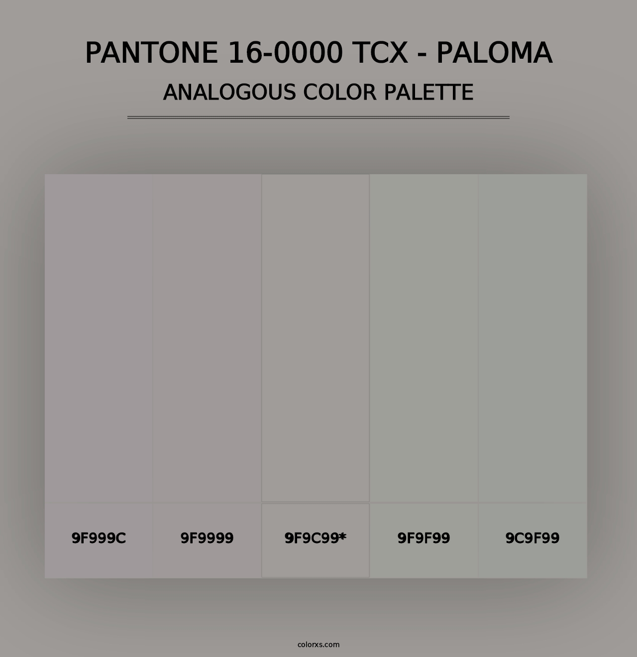 PANTONE 16-0000 TCX - Paloma - Analogous Color Palette