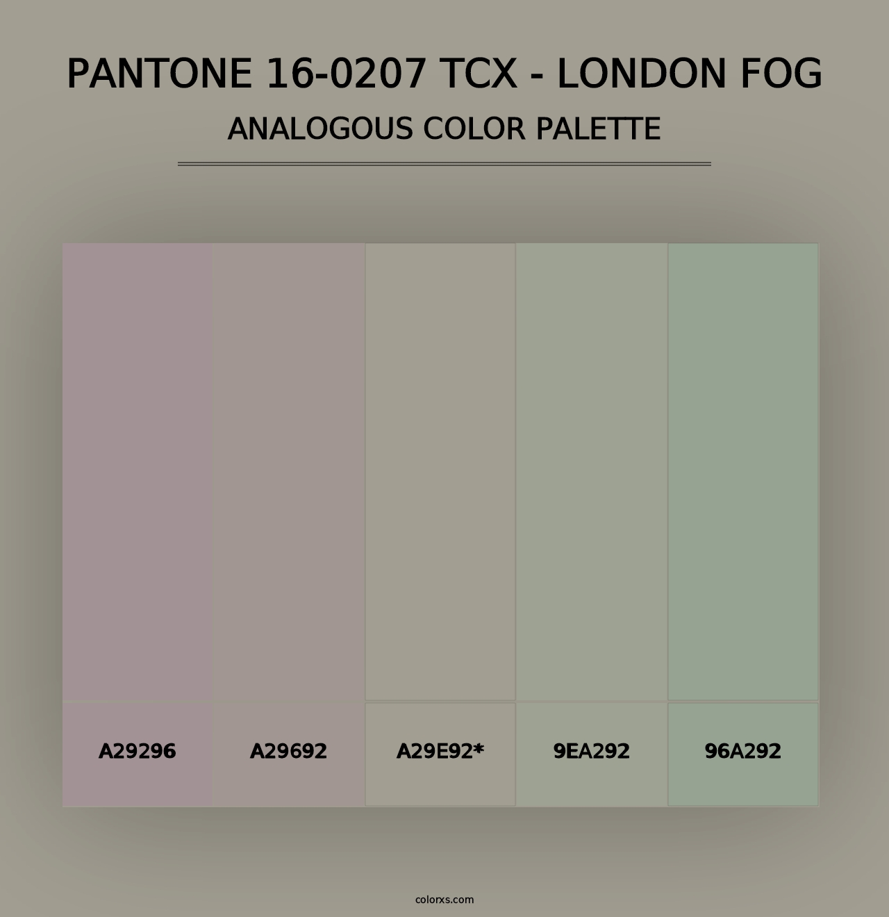 PANTONE 16-0207 TCX - London Fog - Analogous Color Palette