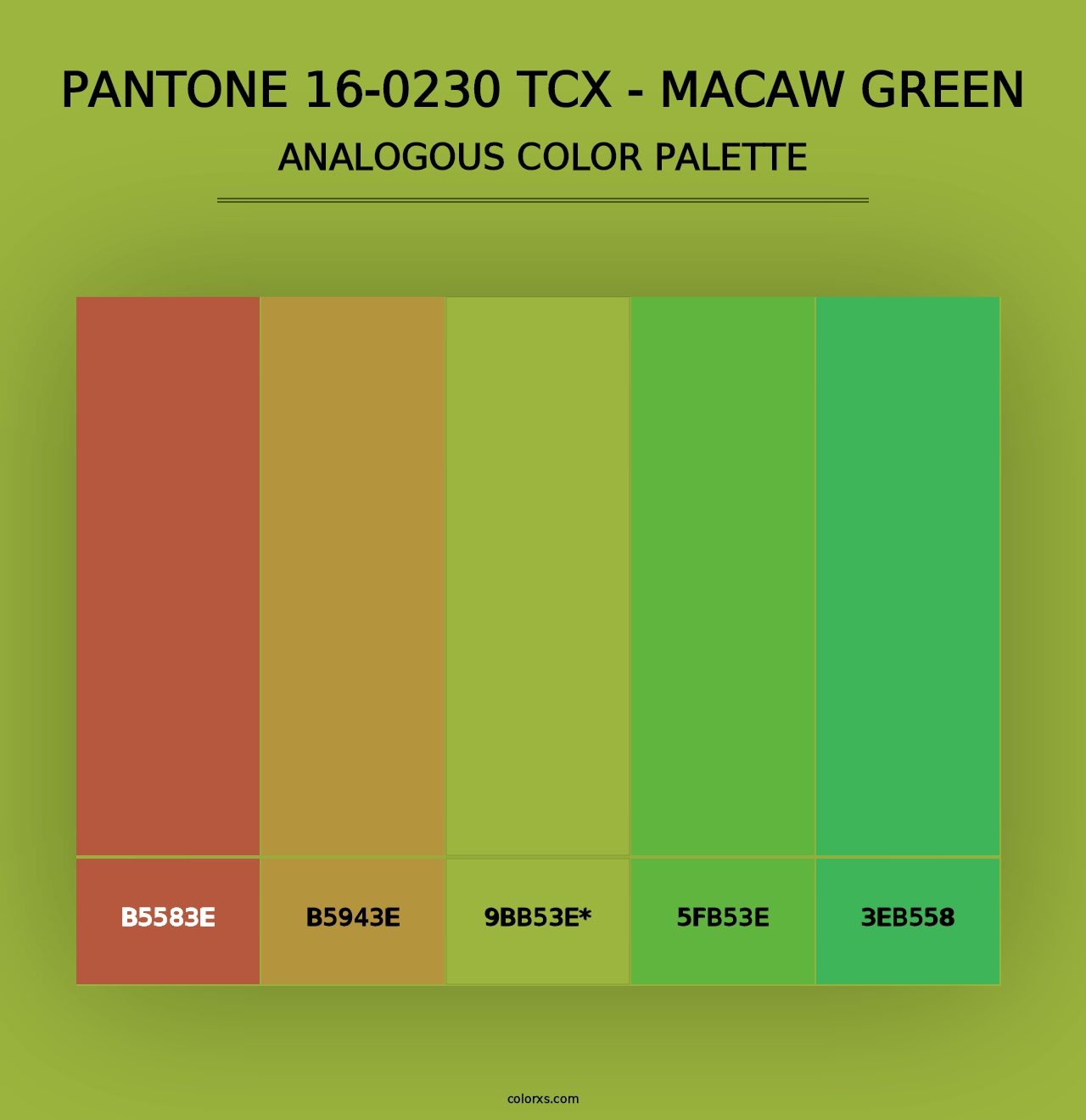 PANTONE 16-0230 TCX - Macaw Green - Analogous Color Palette