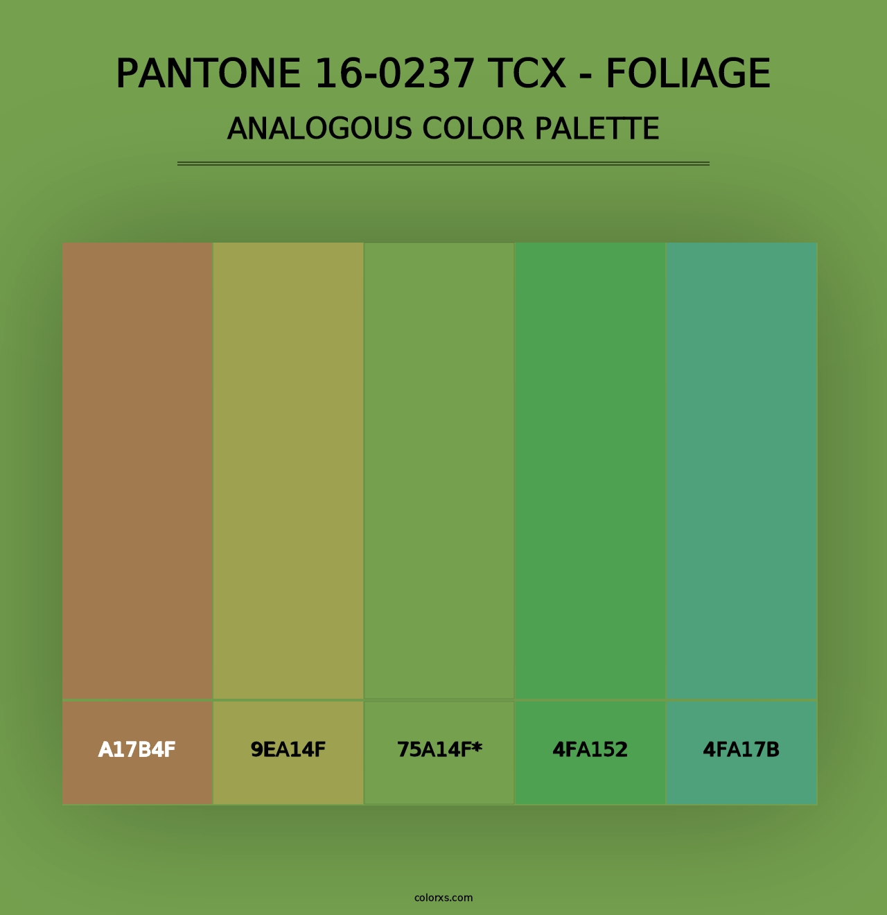 PANTONE 16-0237 TCX - Foliage - Analogous Color Palette