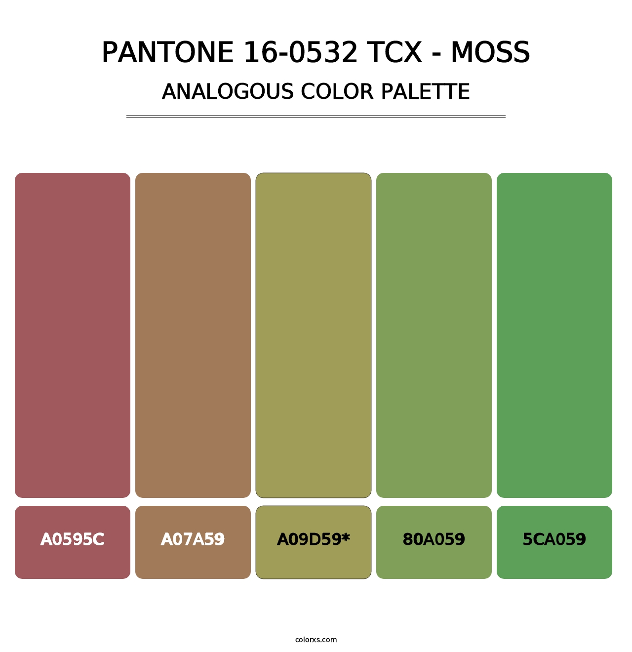 PANTONE 16-0532 TCX - Moss - Analogous Color Palette