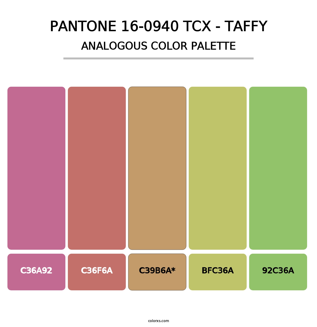 PANTONE 16-0940 TCX - Taffy - Analogous Color Palette