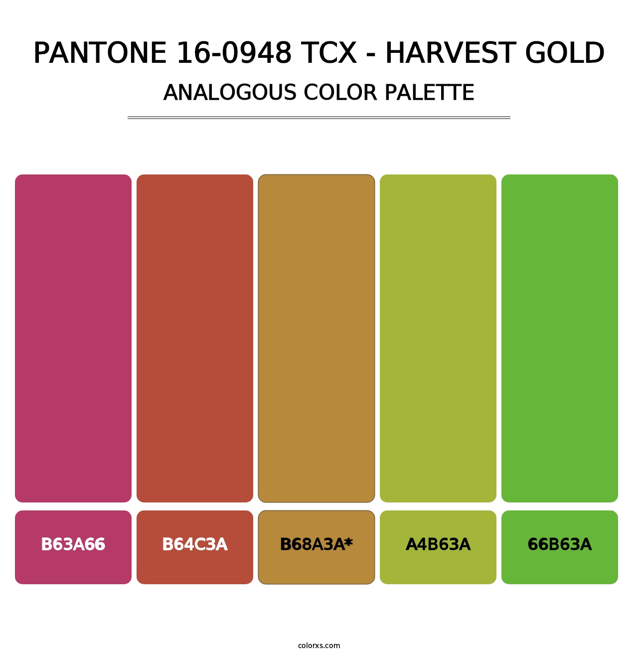 PANTONE 16-0948 TCX - Harvest Gold - Analogous Color Palette