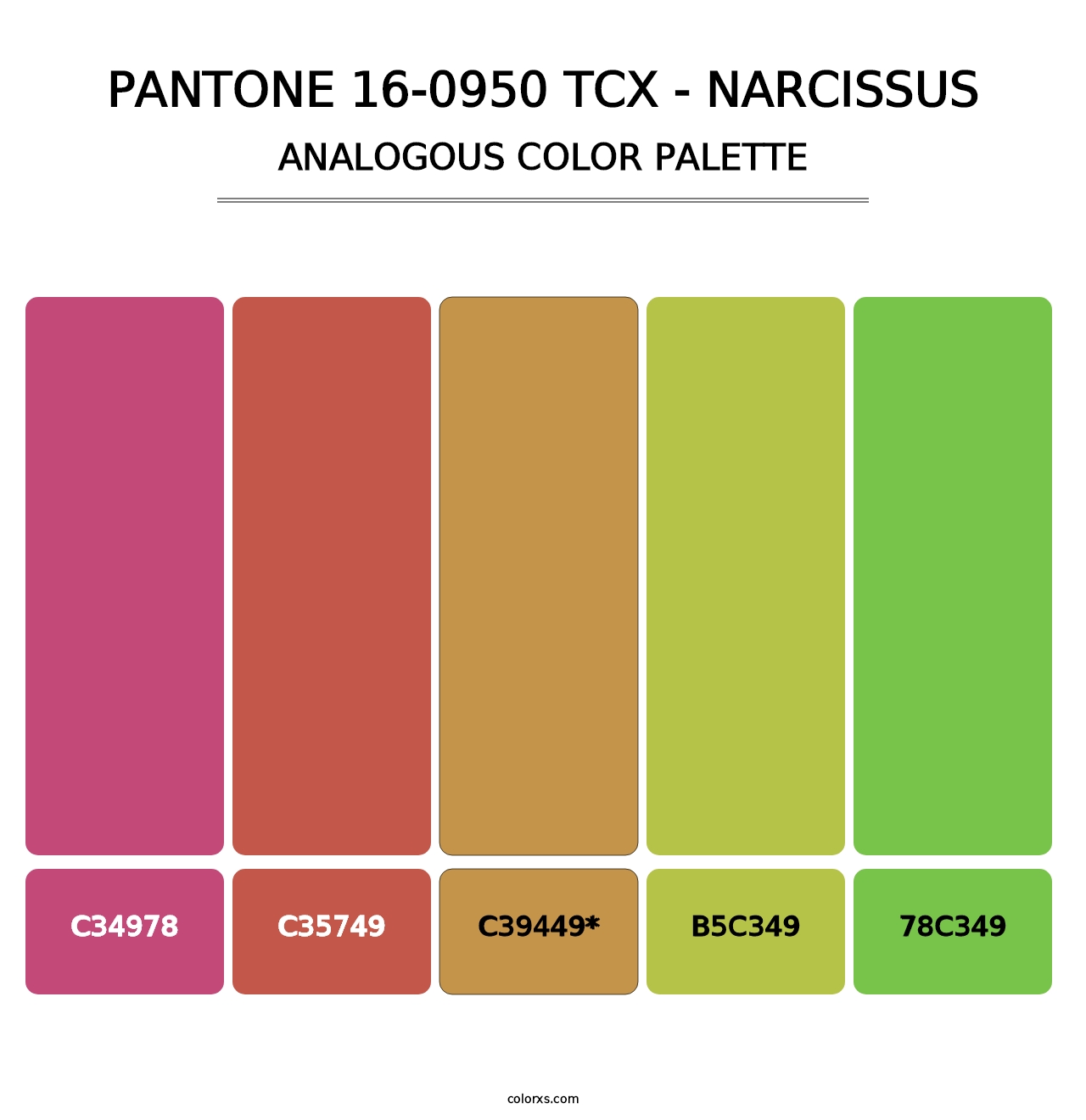 PANTONE 16-0950 TCX - Narcissus - Analogous Color Palette