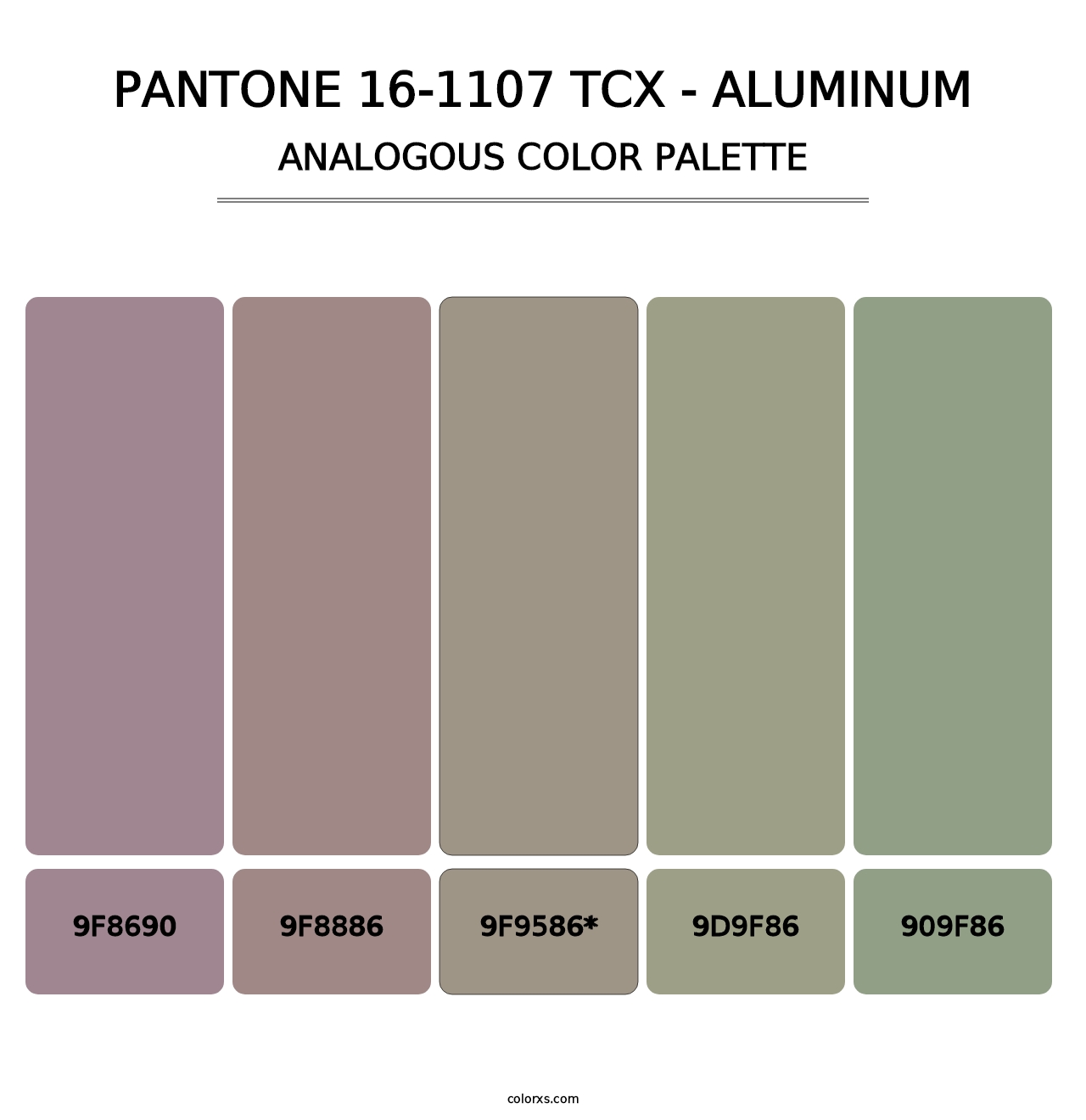 PANTONE 16-1107 TCX - Aluminum - Analogous Color Palette