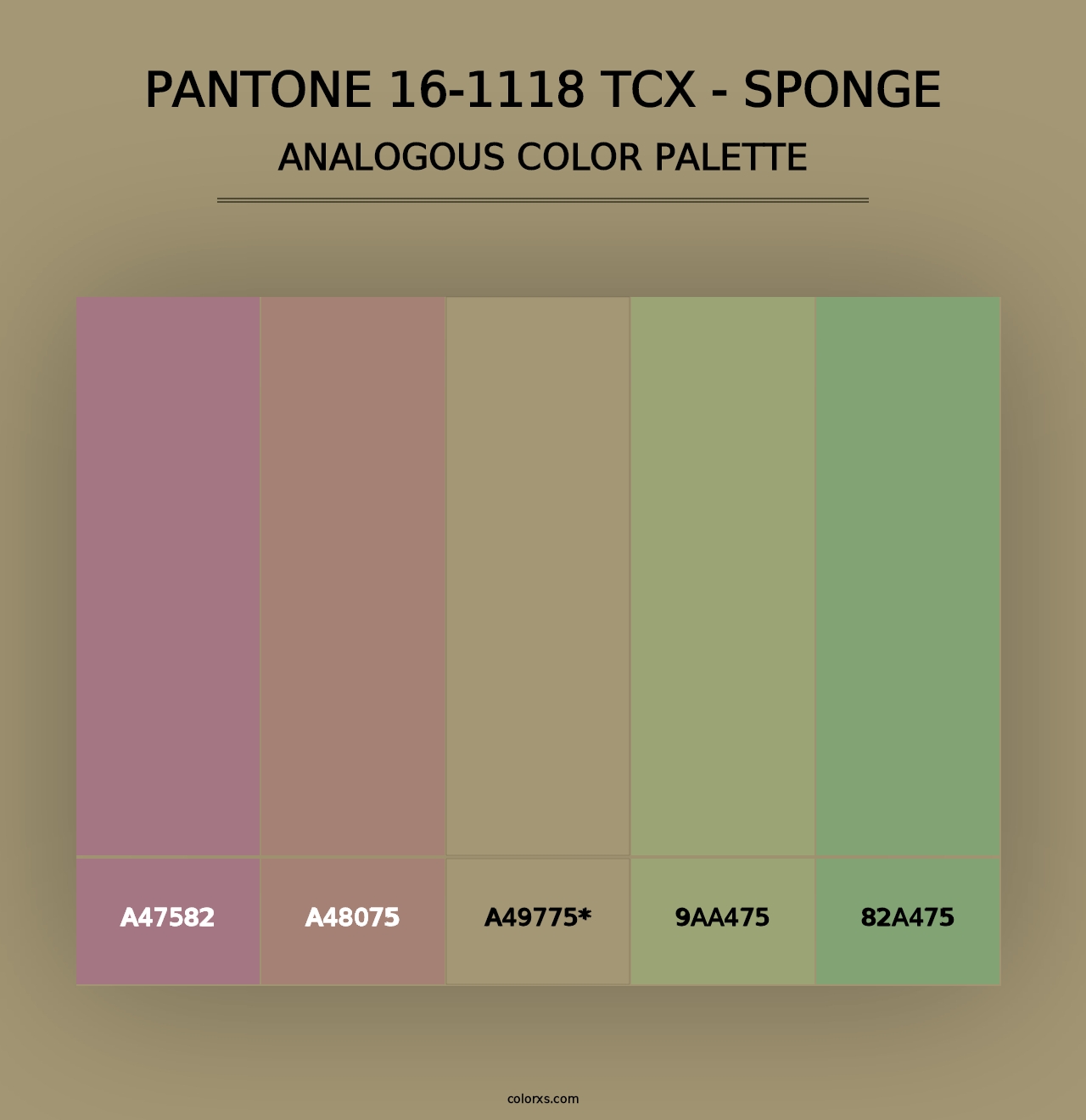 PANTONE 16-1118 TCX - Sponge - Analogous Color Palette